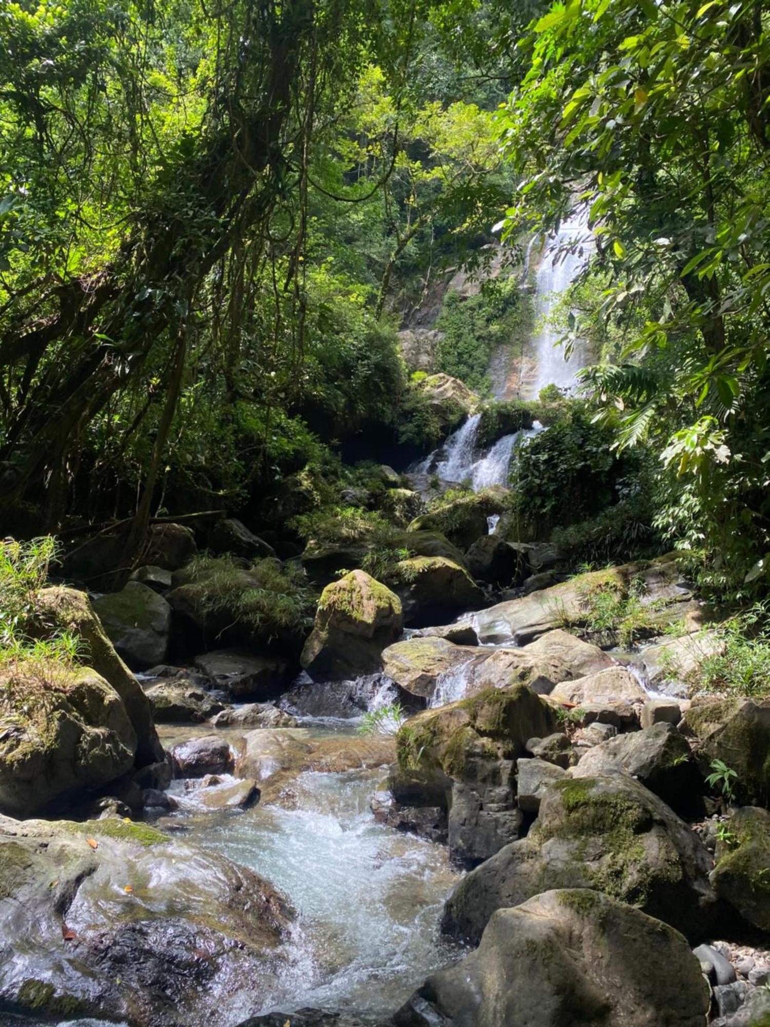 Rainforest Yasmin Hotel Santa Fe  Buitenkant foto